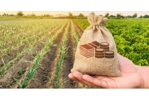 Blog Conecta.ag | Como funciona o Barter?