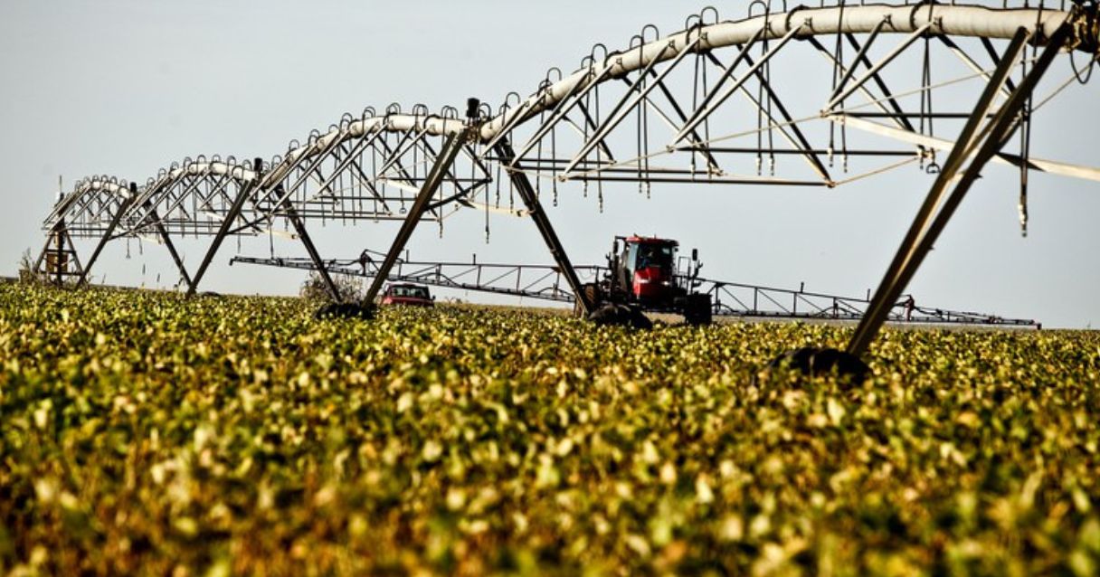 Blog conecta.ag |Agropecuária é responsável por 45% dos novos empregos