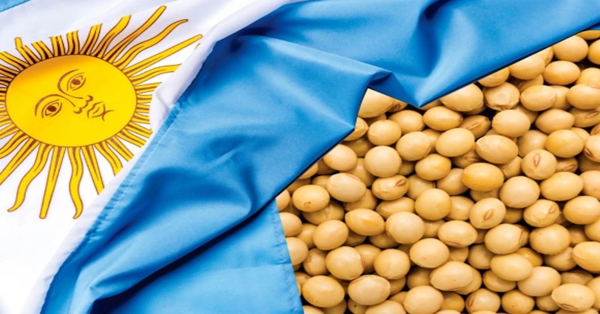 Blog conecta.ag | Argentina ganha competitividade nas vendas de soja para China