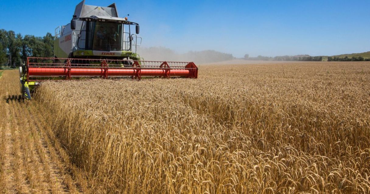 Blog conecta.ag | Aveia faz parte de sistema integrado