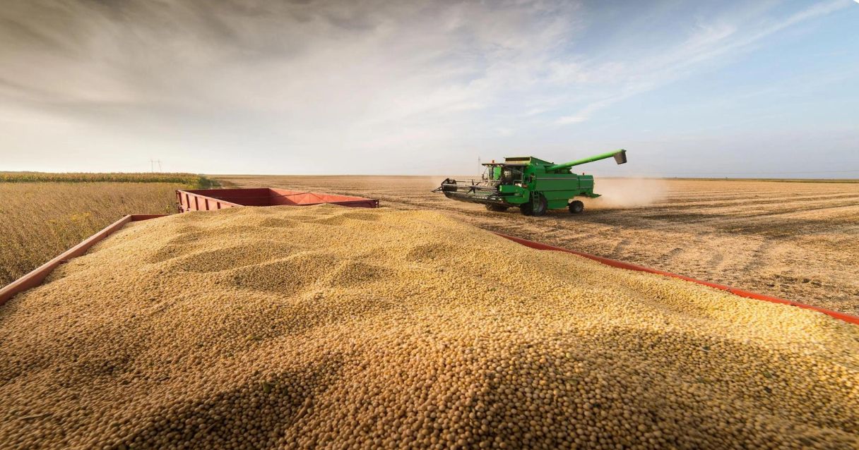 Blog conecta.ag | Comercialização da safra de soja está mais lenta que nos anos anteriores