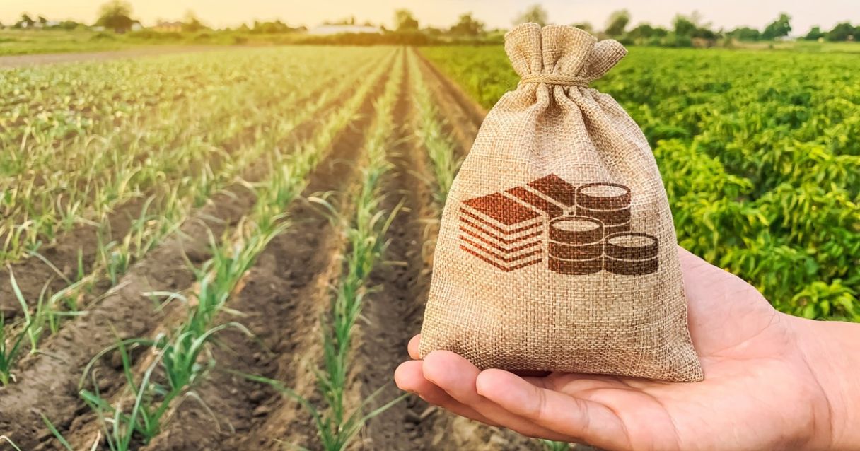 Blog Conecta.ag | Como funciona o Barter?