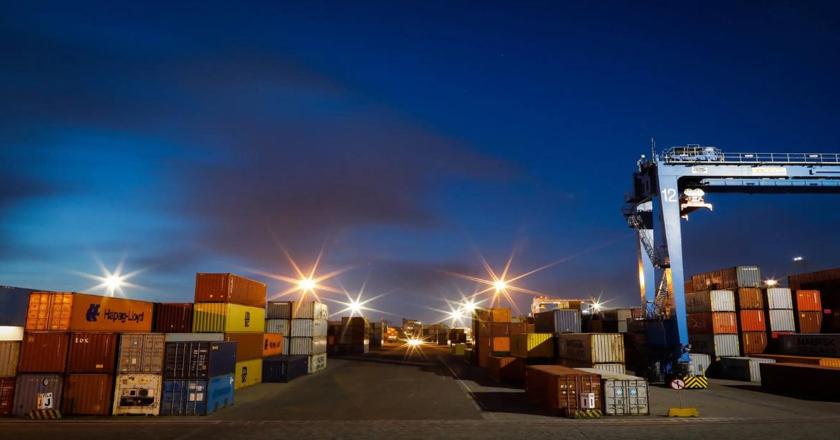 Blog conecta.ag | Embrapa aponta que atraso na semeadura do trigo