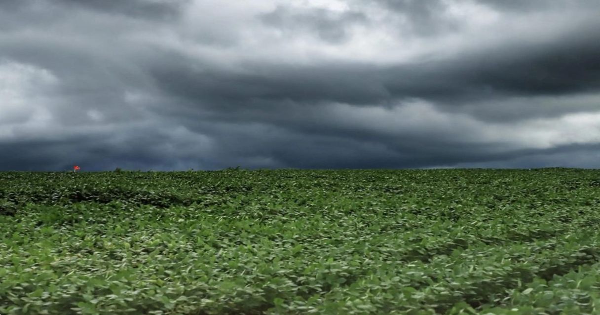 Blog conecta.ag | Excesso de chuva atrasa plantio da soja no PR