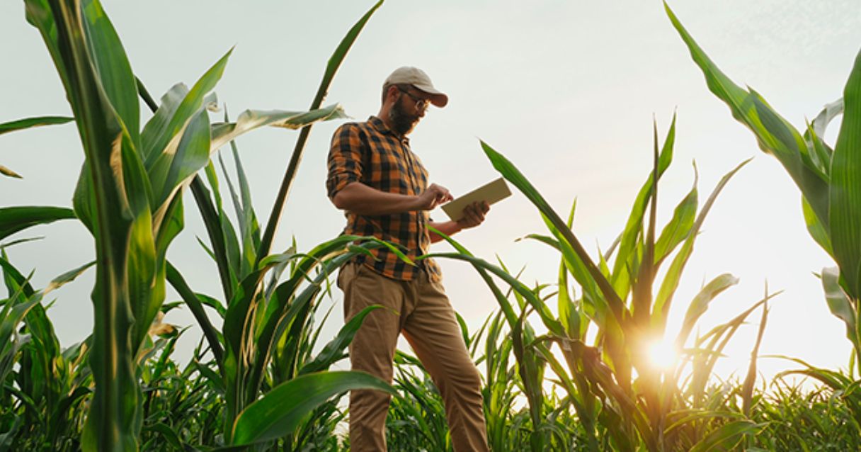 Blog Conecta.ag | 4 perguntas que o planejamento de safra deve responder