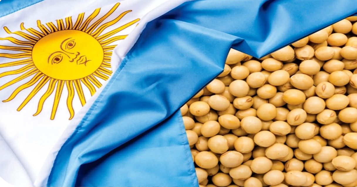 Blog conecta.ag | Preços da soja tentam resistir