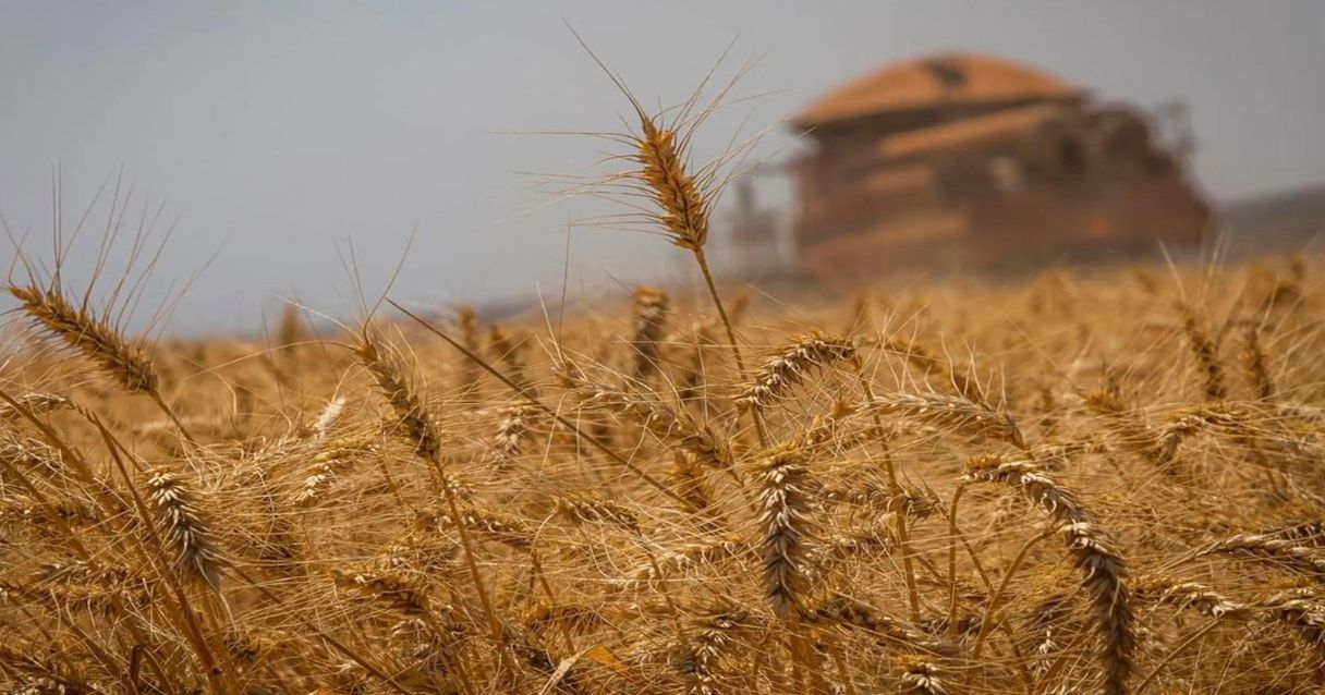 Blog conecta.ag | Produtor de soja terá nova Zarc em vigência na safra 2023/24