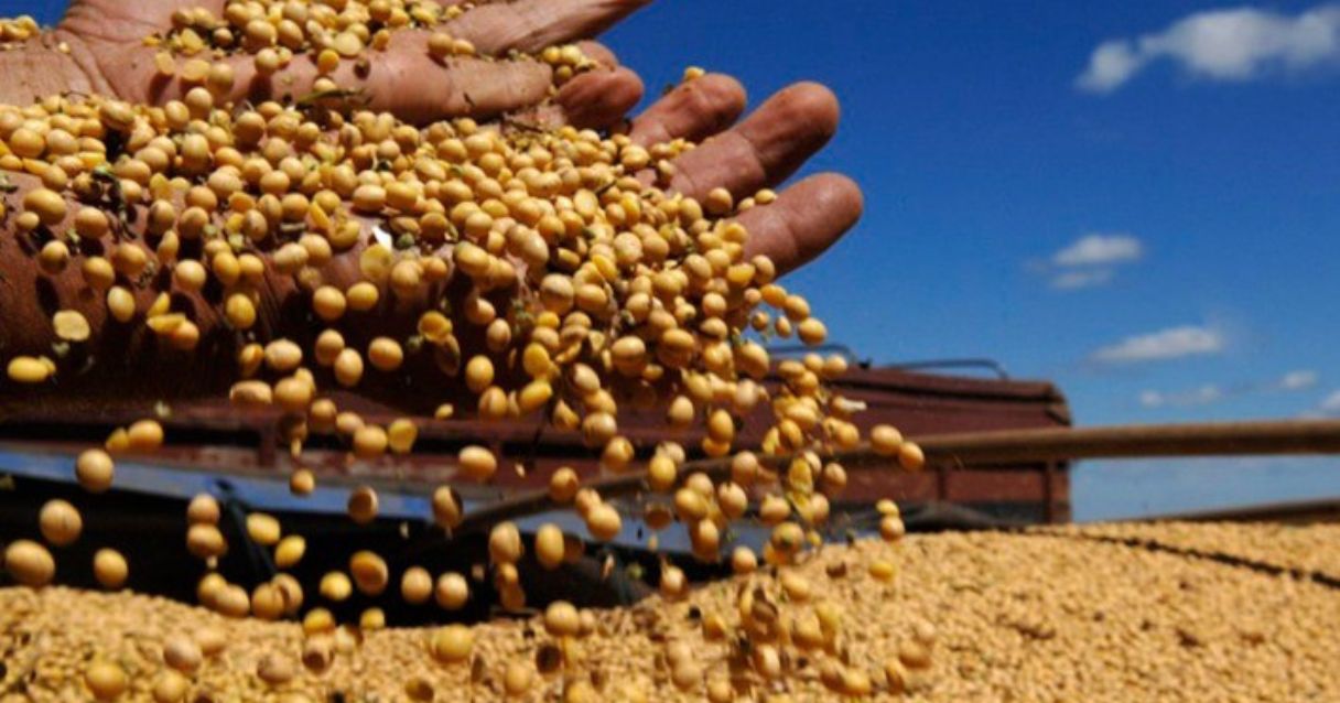Blog conecta.ag | Soja: Produtores do BR podem enfrentar riscos com vendas