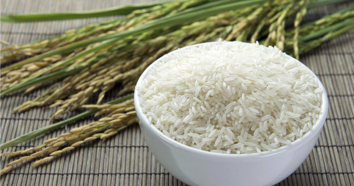 Blog conecta.ag | Relatório aponta que produção e exportação de arroz devem aumentar
