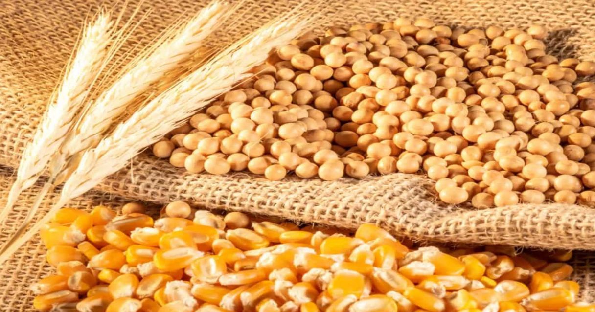 Blog conecta.ag | Soja, milho e trigo, em dólares, estão até 35% acima da média histórica