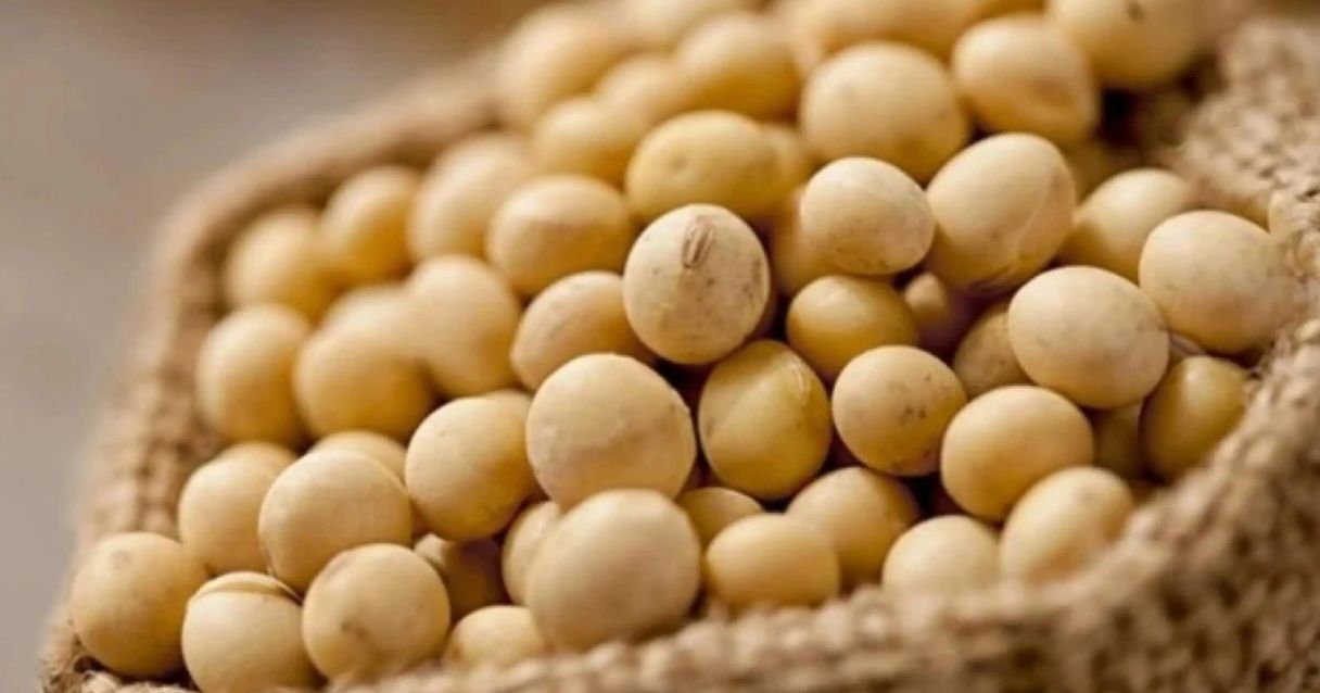 Blog conecta.ag | 'Dólar Soja' encerra período de vigência com venda de quase 40% da safra 2021/22 da Argentina