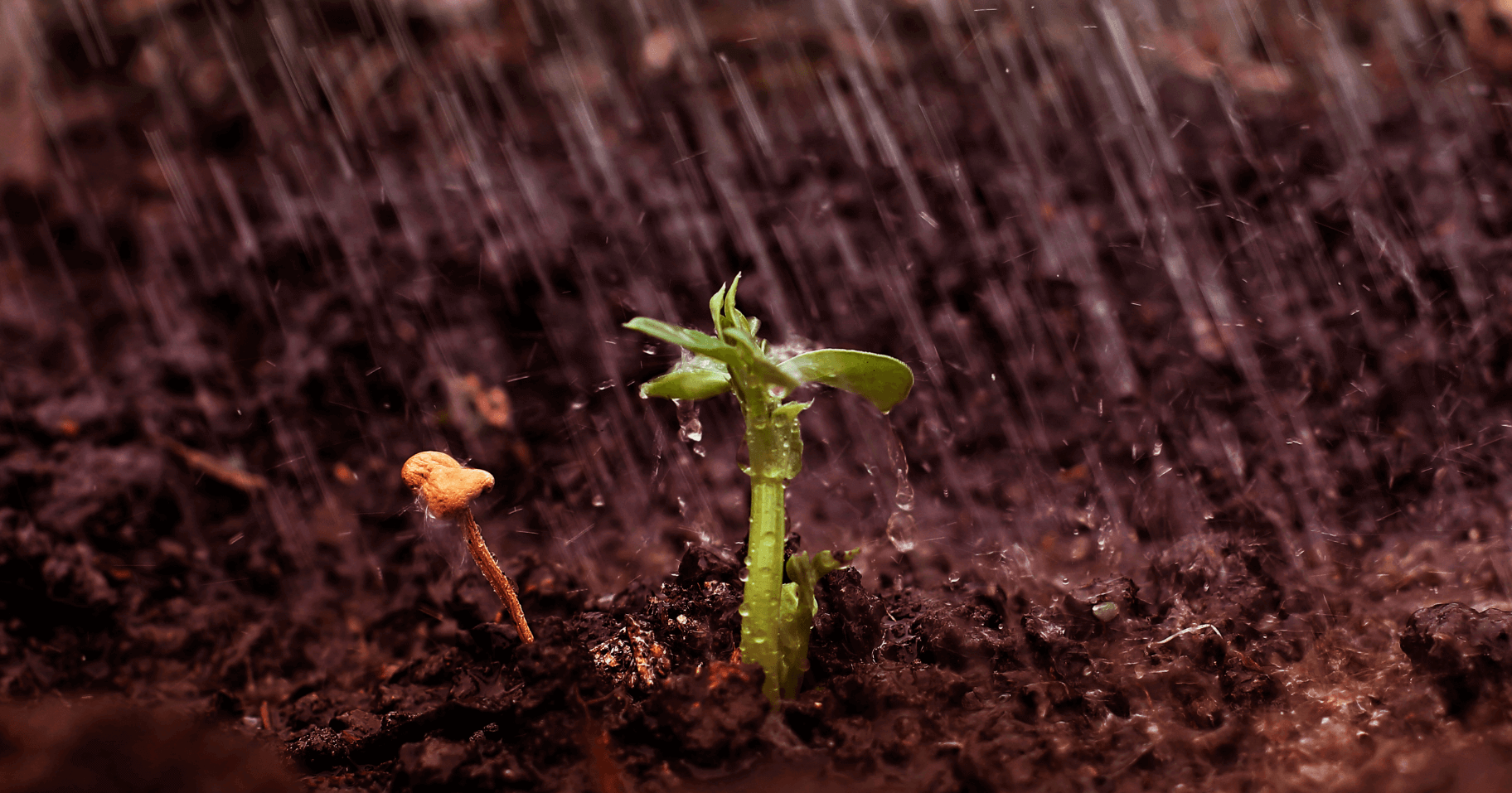 Blog conecta.ag | Dicas e boas práticas para a conservação da água e do solo