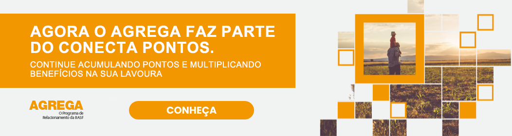 banner agrega conecta pontos