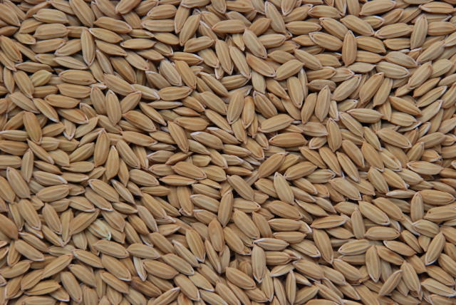 Práticas ESG Práticas ESG