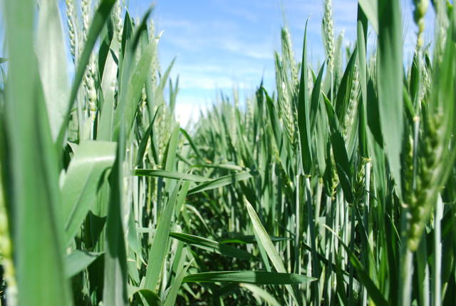 Práticas ESG Práticas ESG