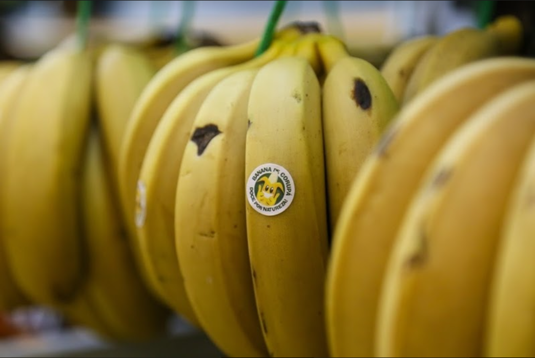 Práticas ESG Práticas ESG