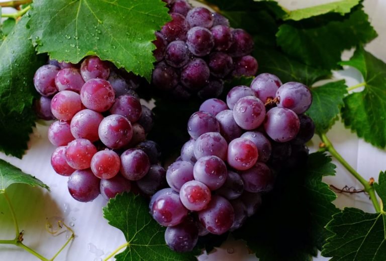 Práticas ESG Práticas ESG