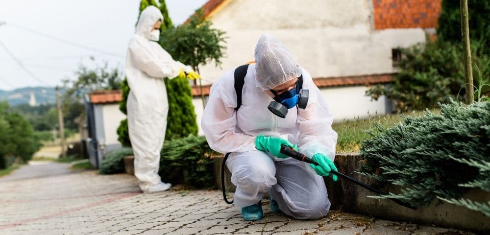 Práticas ESG Práticas ESG